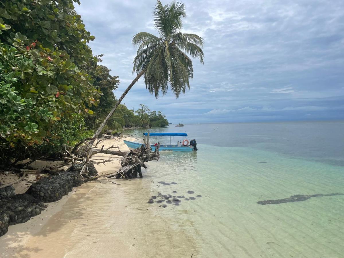 Dolphin Blue Paradise Bocas del Toro Exterior photo