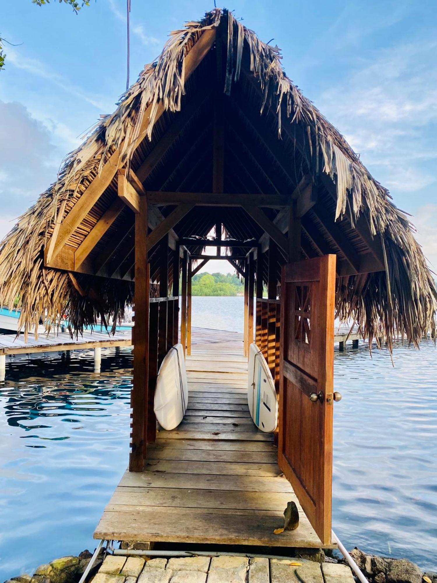 Dolphin Blue Paradise Bocas del Toro Exterior photo