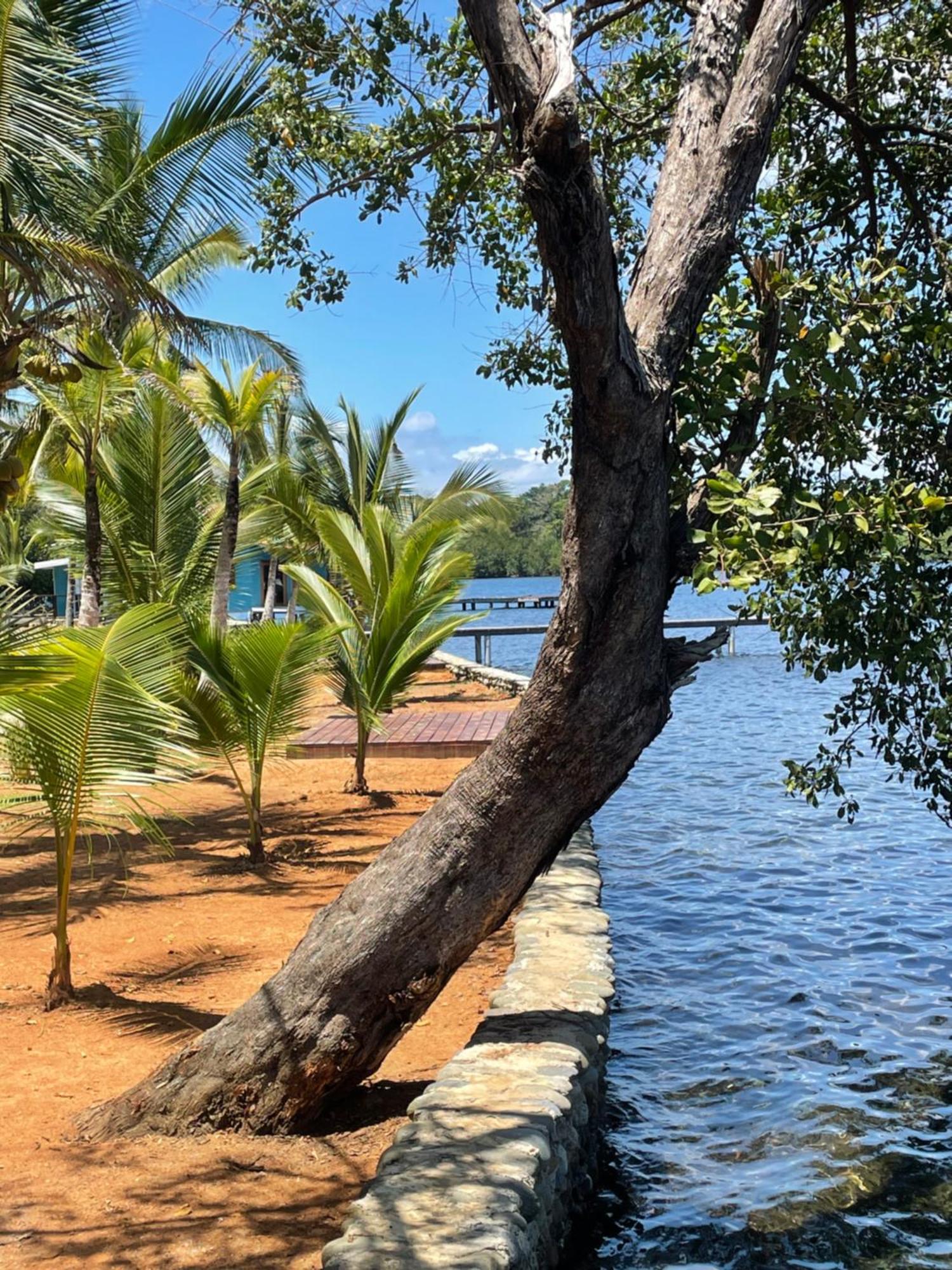 Dolphin Blue Paradise Bocas del Toro Exterior photo